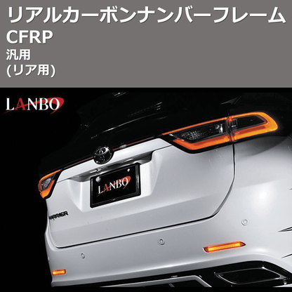 (リア用) CFRP リアルカーボンナンバーフレーム 汎用